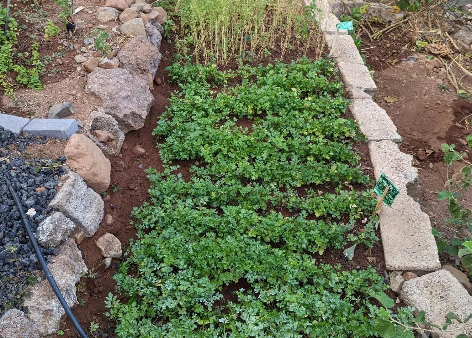 Orgaos Finca Pedra Molar וילה