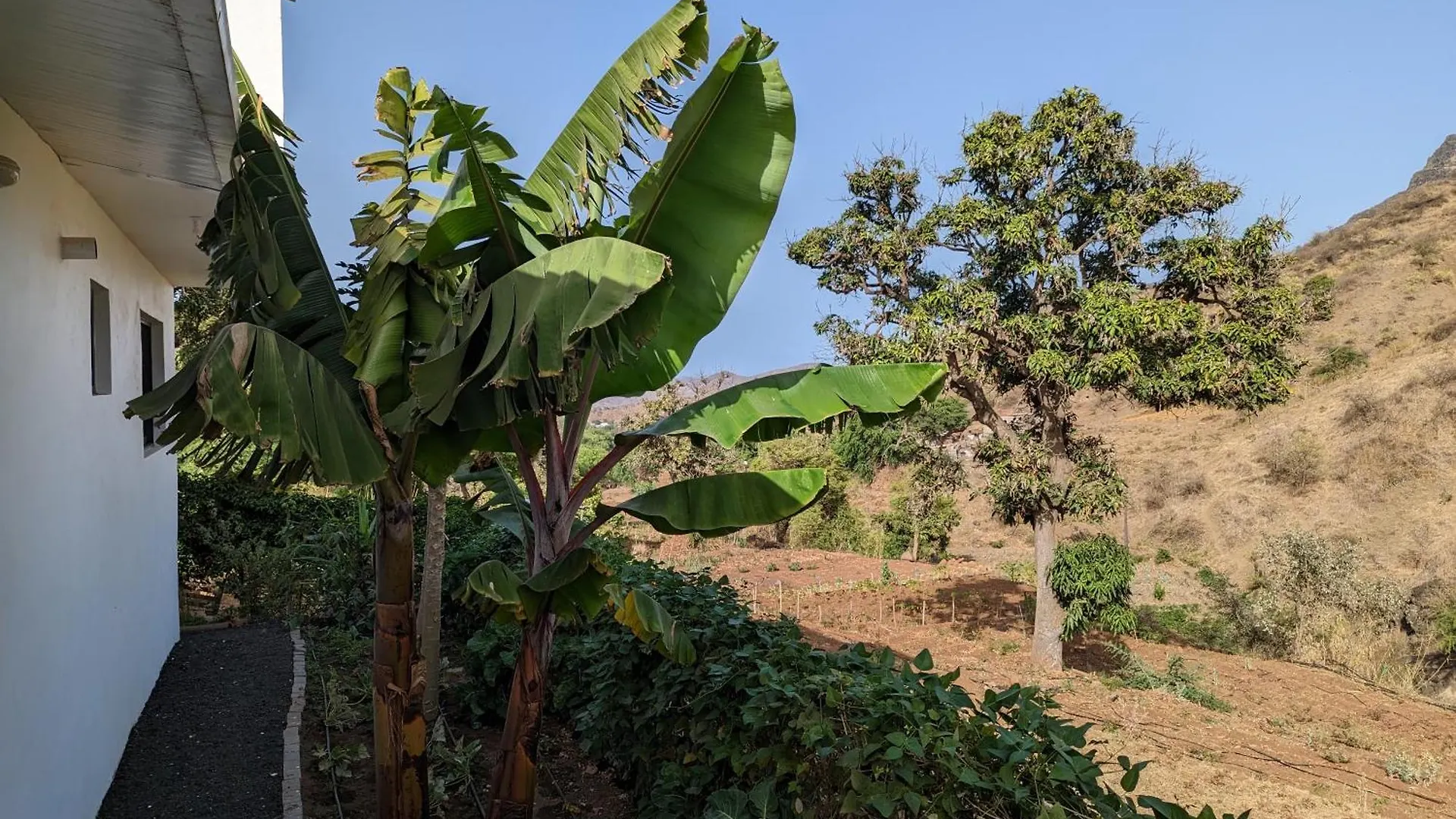 빌라 Finca Pedra Molar Orgaos
