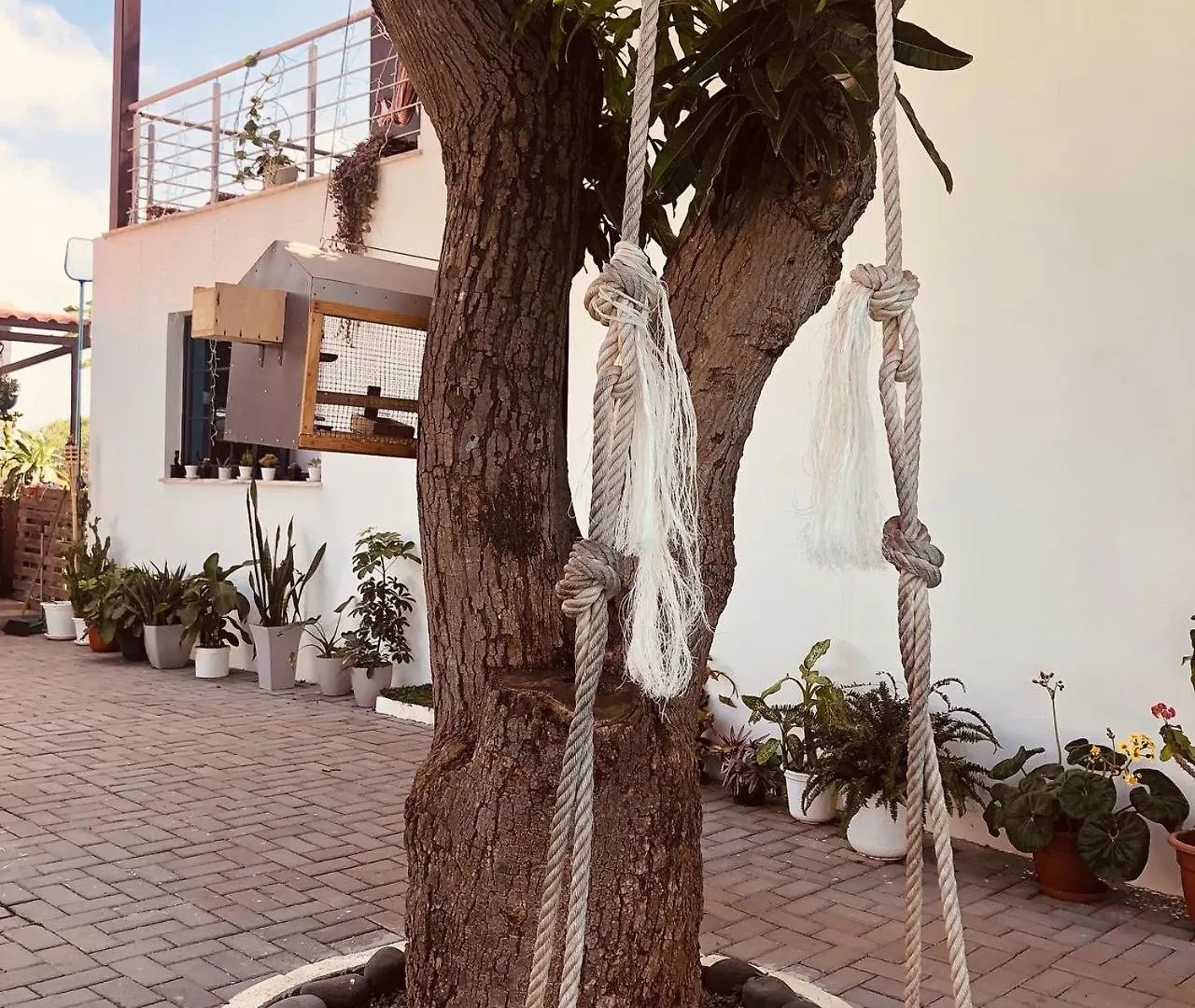 Finca Pedra Molar Orgaos